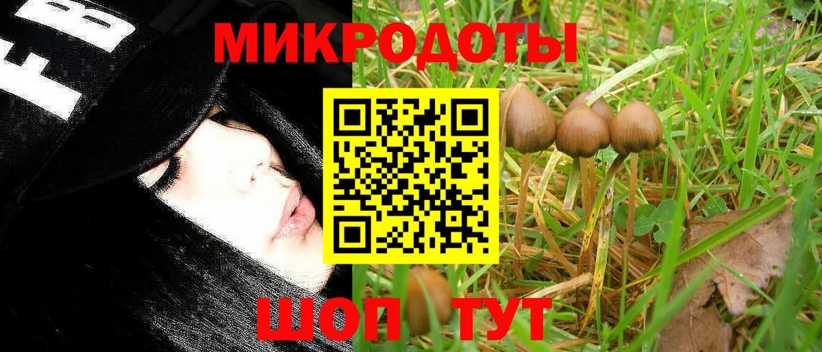Донецк  Псилоцибиновые грибы Psilocybine cubensis  Вход с VPN 
